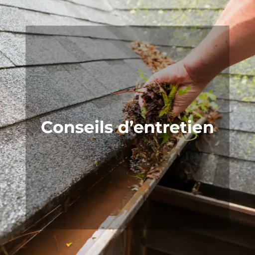 Pourquoi nettoyer régulièrement ses chéneaux et gouttières est essentiel pour protéger votre maison